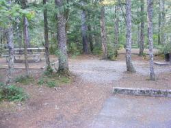 Site 31 - Newhalem Campground Loop B