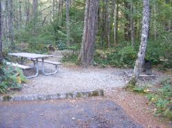 Site 33 - Newhalem Campground Loop B
