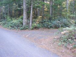 Site 32 - Newhalem Campground Loop B