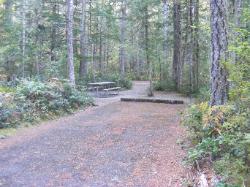 Site 33 - Newhalem Campground Loop B