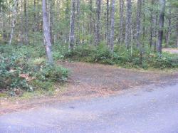 Site 34 - Newhalem Campground Loop B