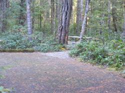 Site 34 - Newhalem Campground Loop B