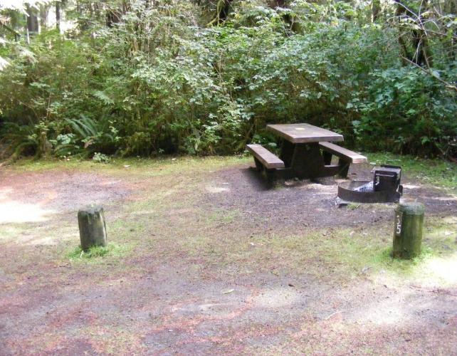 Mora Campground Site 35 Loop B