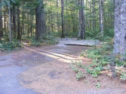 Site 36 - Newhalem Campground Loop B