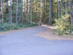 Site 37 - Newhalem Campground Loop B