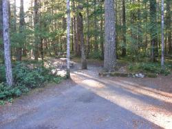 Site 37 - Newhalem Campground Loop B