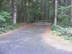 Site 39 - Newhalem Campground Loop B