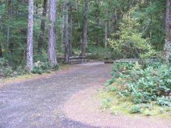 Site 40 - Newhalem Campground Loop B