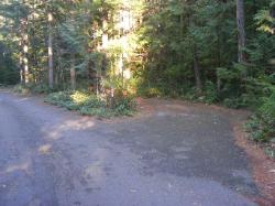 Site 41 - Newhalem Campground Loop B