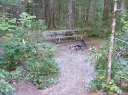Site 41 - Newhalem Campground Loop B