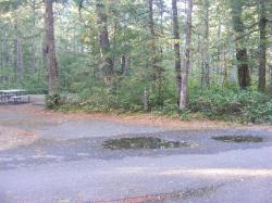 Site 42 - Newhalem Campground Loop B