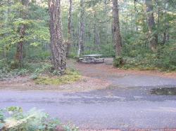 Site 42 - Newhalem Campground Loop B