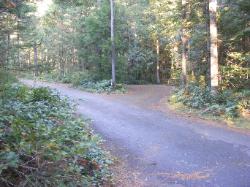 Site 43 - Newhalem Campground Loop B