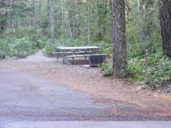 Site 44 - Newhalem Campground Loop B