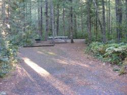 Site 45 - Newhalem Campground Loop B