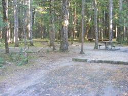 Site 46 - Newhalem Campground Loop B