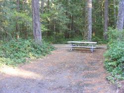 Site 48 - Newhalem Campground Loop B