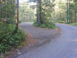 Site 49 - Newhalem Campground Loop B