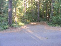 Site 50 - Newhalem Campground Loop B
