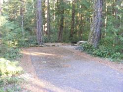 Site 50 - Newhalem Campground Loop B
