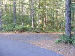 Site 51 - Newhalem Campground Loop B