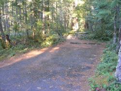 Site 51 - Newhalem Campground Loop B