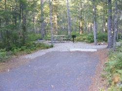 Site 53 - Newhalem Campground Loop B