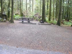 Loop B Site 22 Fairholme Campground Olympic