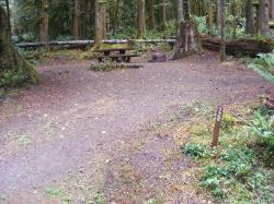 Loop B Site 29 Fairholme Campground Olympic