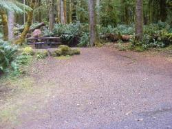 Loop B Site 30 Fairholme Campground Olympic