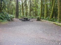 Loop B Site 32 Fairholme Campground Olympic