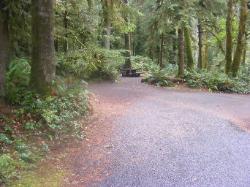 Loop B Site 34 Fairholme Campground Olympic