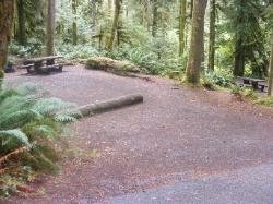 Loop B Site 35 Fairholme Campground Olympic