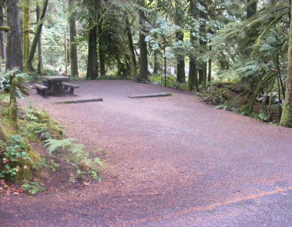Loop B Site 36 Fairholme Campground Olympic