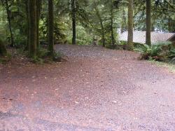 Loop B Site 42 Fairholme Campground Olympic