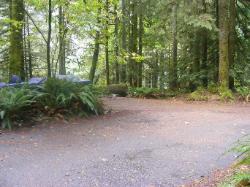 Loop B Site 45 Fairholme Campground Olympic