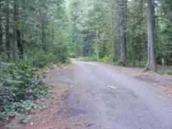Road thru Loop C - Newhalem CG North Cascades NP