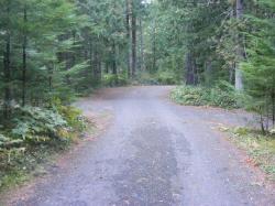Road thru Loop C - Newhalem CG North Cascades NP