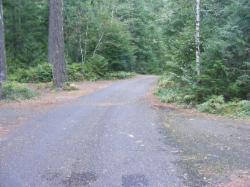 Road thru Loop C - Newhalem CG North Cascades NP