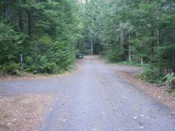 Road thru Loop C - Newhalem CG North Cascades NP