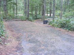 Loop C Site 100 - Newhalem Campground North Cascades NP