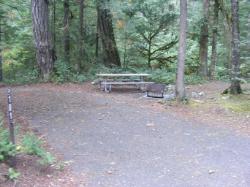 Loop C Site 101 - Newhalem Campground North Cascades NP