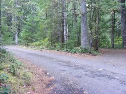 Loop C Site 101 - Newhalem Campground North Cascades NP