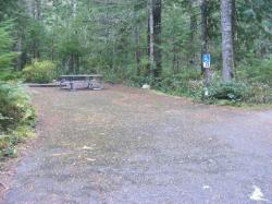 Loop C Site 102 - Newhalem Campground North Cascades NP