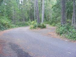 Loop C Site 103 - Newhalem Campground North Cascades NP