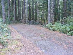 Loop C Site 105 - Newhalem Campground North Cascades NP