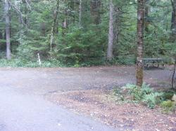 Loop C Site 108 - Newhalem Campground North Cascades NP