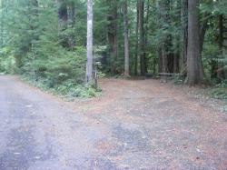 Loop C Site 113 - Newhalem Campground North Cascades NP