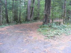 Loop C Site 113 - Newhalem Campground North Cascades NP