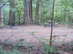 Loop C Site 113 - Newhalem Campground North Cascades NP
